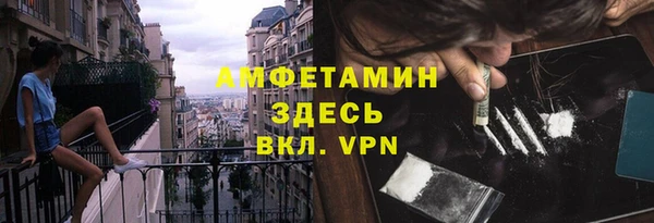 ГАЛЛЮЦИНОГЕННЫЕ ГРИБЫ Каменка