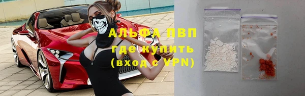 ГАЛЛЮЦИНОГЕННЫЕ ГРИБЫ Каменка