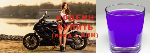 стафф Каменск-Шахтинский