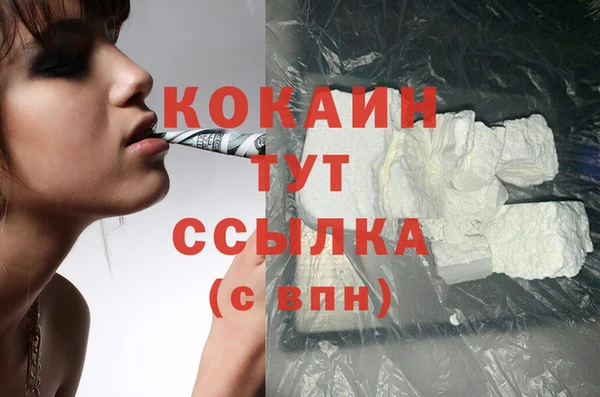 ГАЛЛЮЦИНОГЕННЫЕ ГРИБЫ Каменка