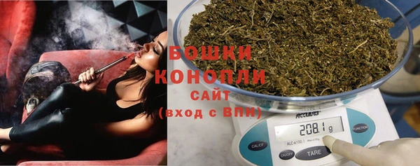 ГАЛЛЮЦИНОГЕННЫЕ ГРИБЫ Каменка