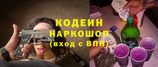 ГАЛЛЮЦИНОГЕННЫЕ ГРИБЫ Каменка
