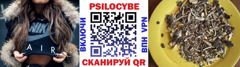 Галлюциногенные грибы мухоморы  Купить закладки  Нижнеудинск 